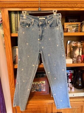 PacSun Light Blue jean with daisies Embroidered Straight Leg mom Jeans